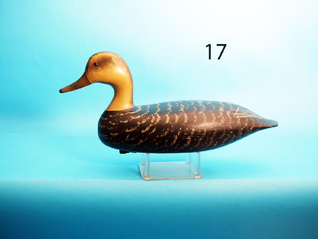 RARE HIGH-HEAD BLACK DUCK by the Wildfowler Decoy Co., (1 of 1)