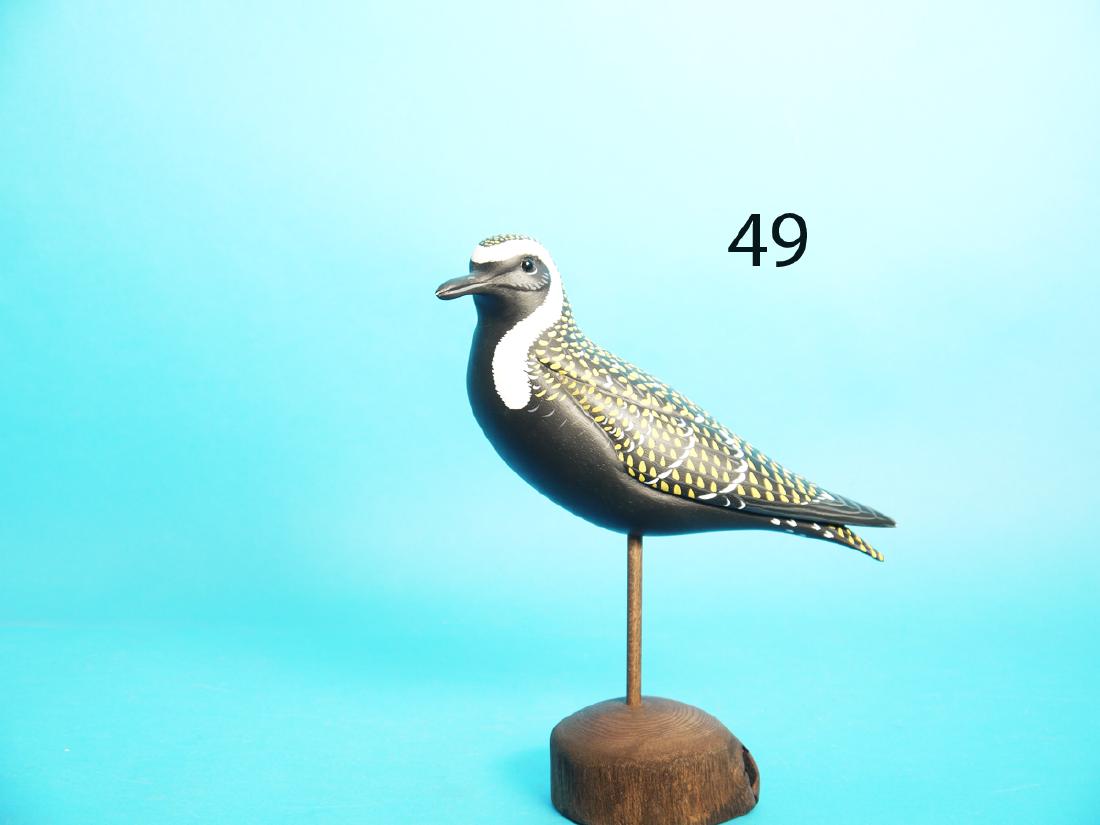 FINE GOLDEN PLOVER by Manfred K. Scheel, Quakertown, (1 of 1)