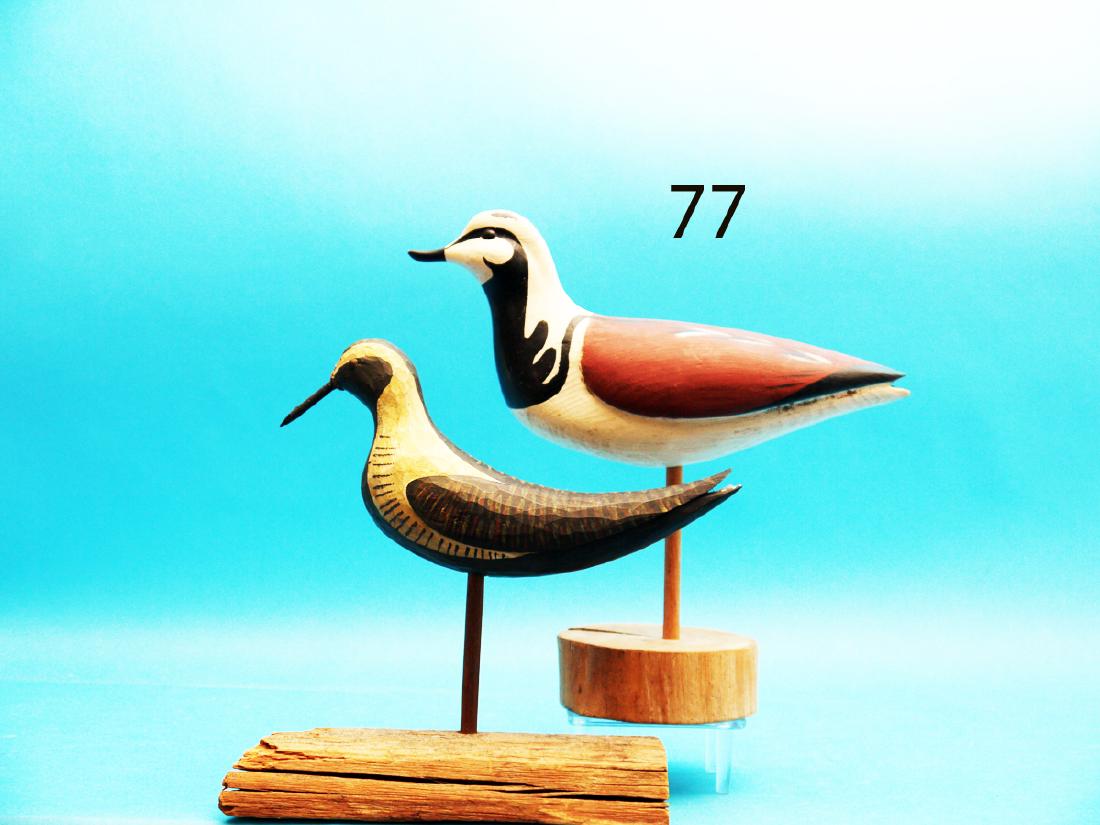 BLACK-BREAST PLOVER by Roger Mitchell, Kingston, MA. (1 of 1)