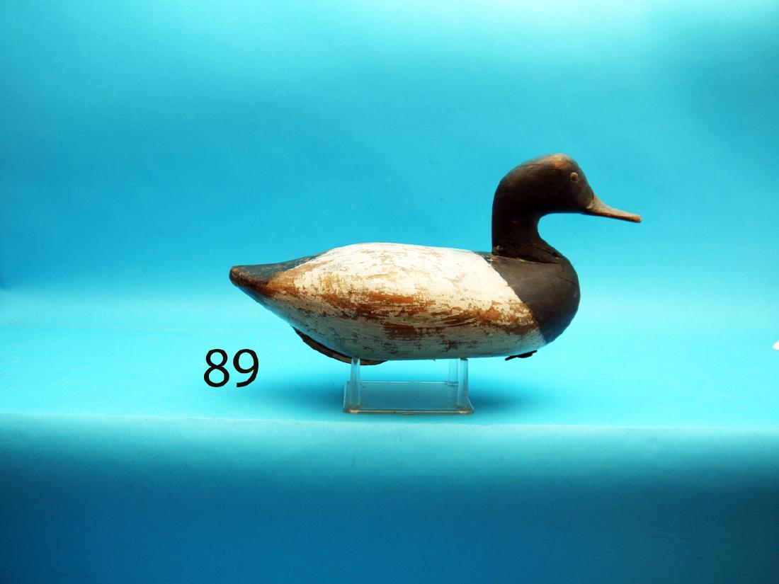 NICE BLUEBILL DRAKE by Bob McGaw, Havre de Grace, MD. (1 of 1)