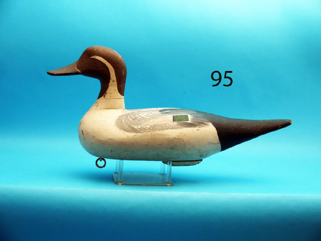 NICE PINTAIL DRAKE by Paul Gibson, Havre de Grace, MD. (1 of 1)