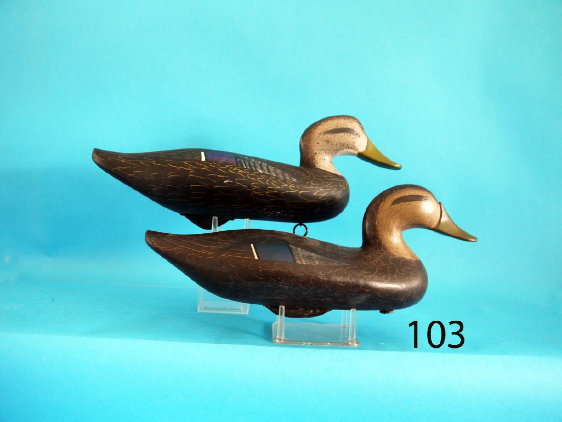 BLACK DUCK by Jim Pierce, Havre de Grace, MD. Together (1 of 1)