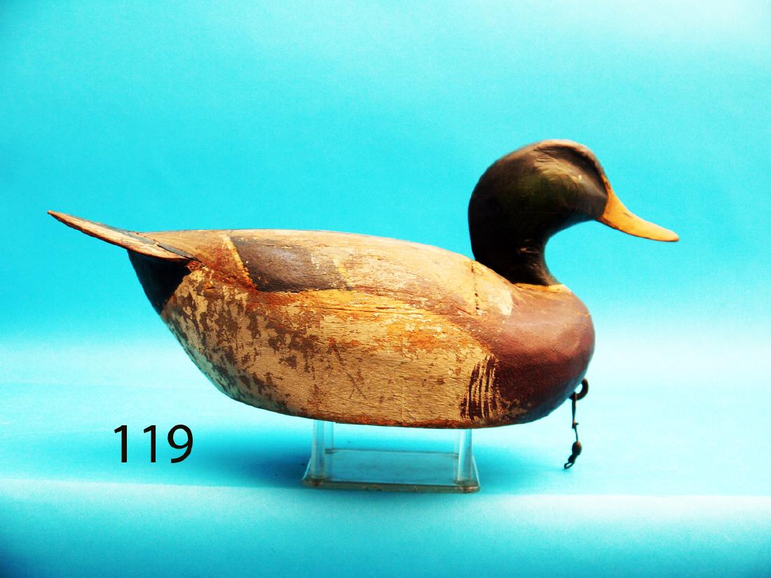RARE MALLARD DRAKE by Oliver Lawson, Crisfield, MD. (1 of 1)