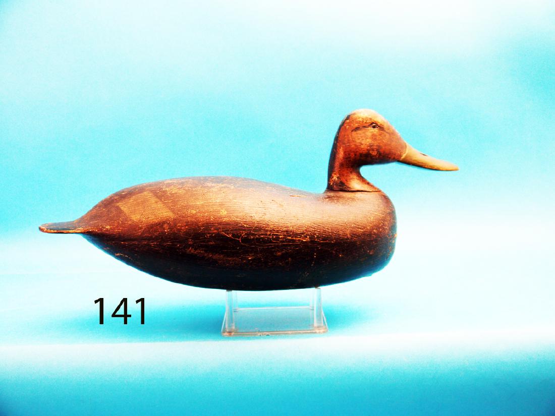 BLACK DUCK by L. Rhodes Truex, Atlantic City, NJ, (1860 (1 of 1)