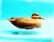 GREEN WING TEAL HEN by John “Jack” Wood, Trenton, NJ.