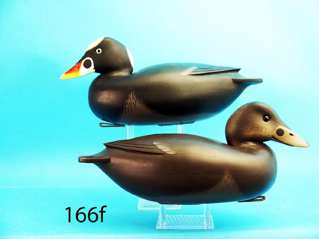 FINE PAIR OF SURF SCOTERS by Fredrick C. Brown, Jr., (1 of 1)