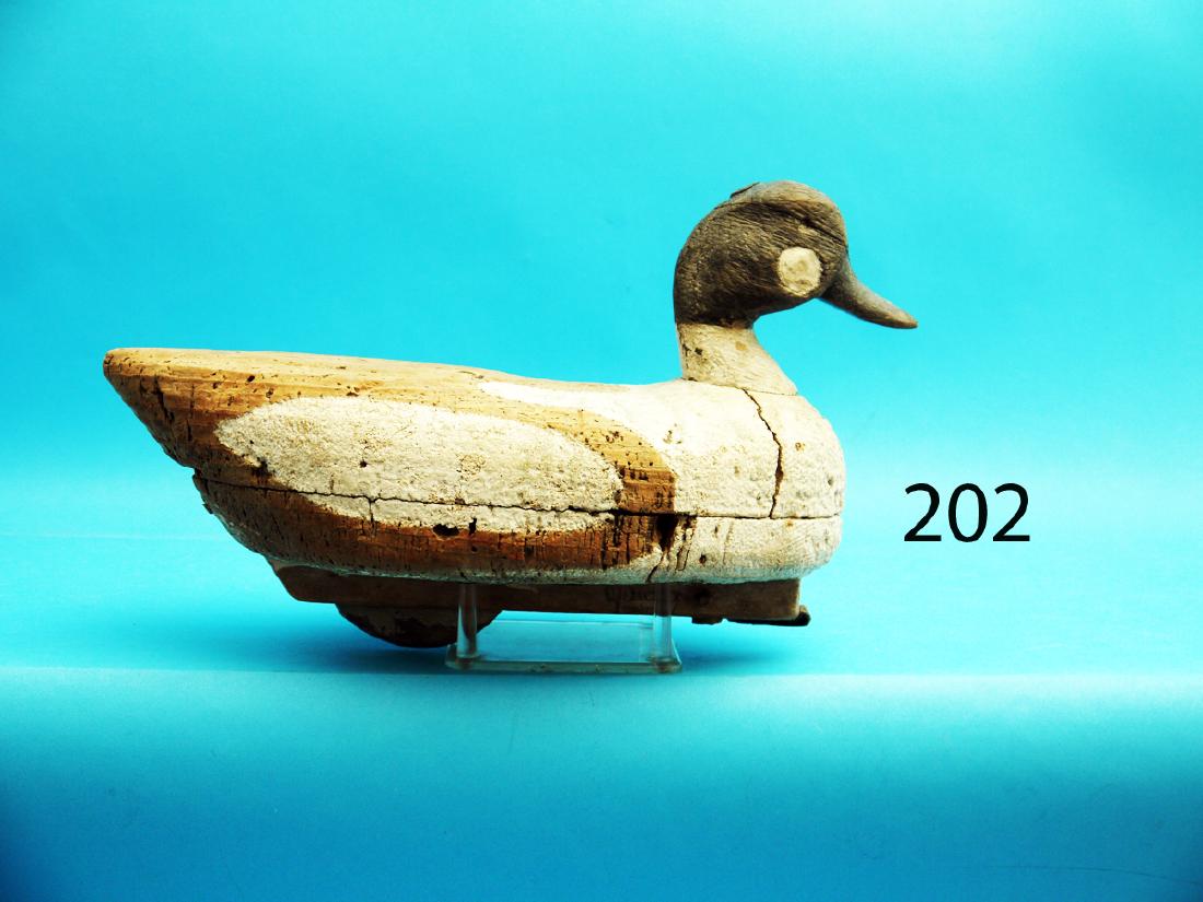 EARLY GOLDENEYE DRAKE, probably Long Island, NY. (1 of 1)