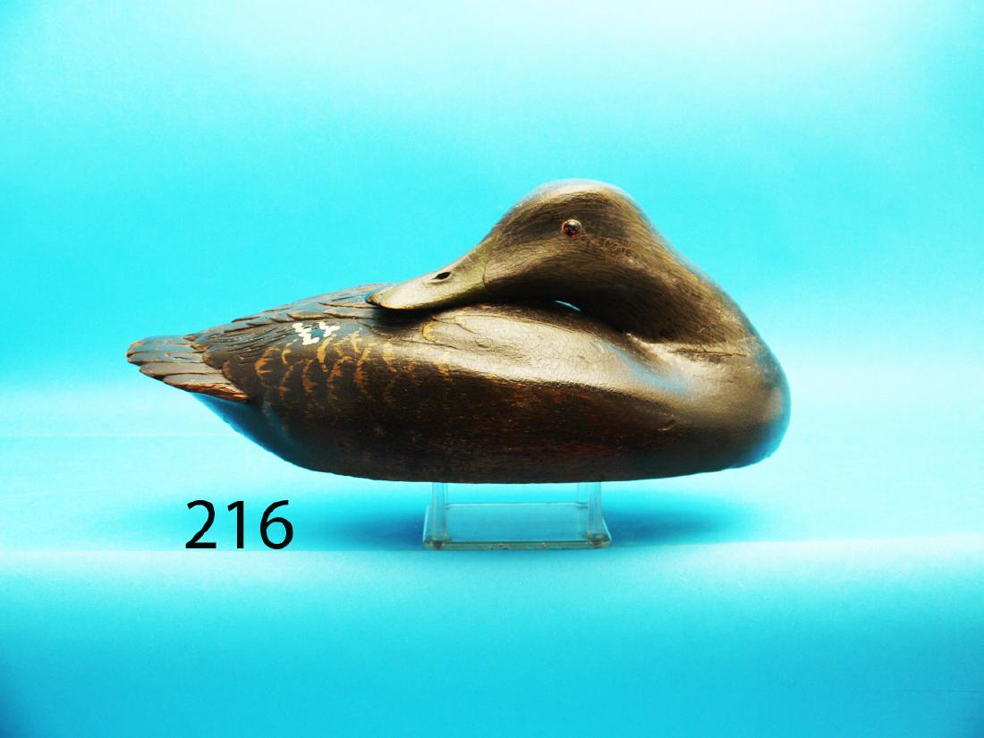 FINE PREENING BLACK DUCK by Marcel Dufour, Verdun, (1 of 1)