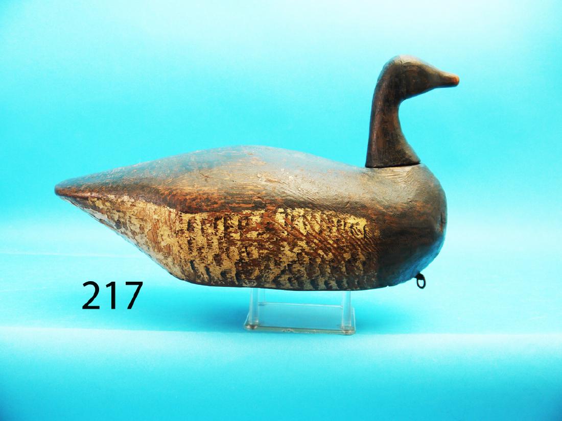 EARLY BRANT from Prince Edward Island, Canada. (1 of 1)