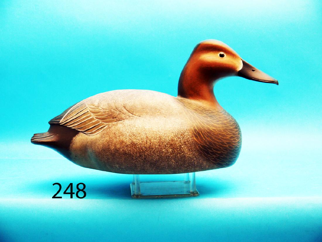 VERY FINE CANVASBACK HEN by John McLoughlin, (1 of 1)