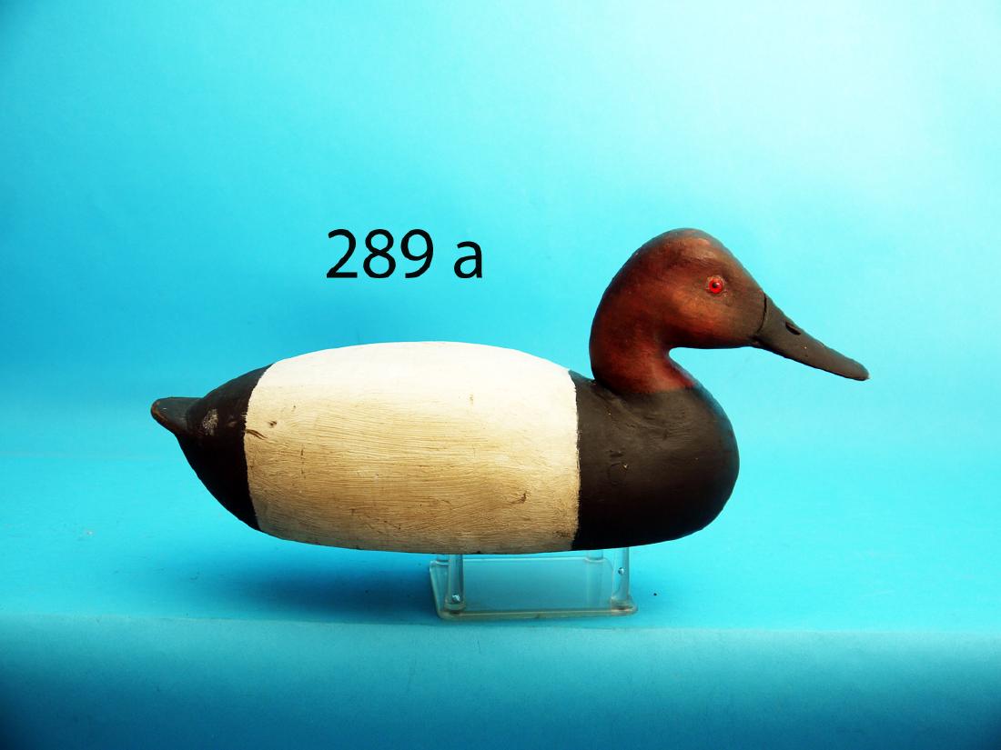 CANVASBACK DRAKE attributed to a member of the Charles (1 of 1)