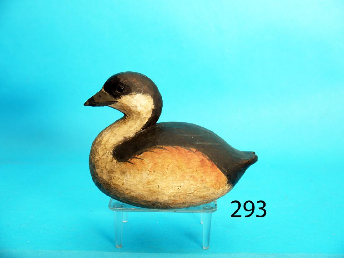 FINE PIED-BILLED GREBE by Reggie Birch, Chincoteague, (1 of 1)