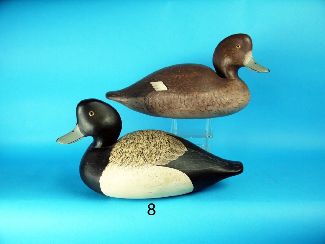 VERY RARE AND EARLY PAIR OF BLUEBILLS by the Wildfowler (1 of 1)