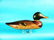 VERY EARLY MALLARD DRAKE by the Mason Decoy Co.,