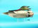VERY FINE RED-BREAST MERGANSER DRAKE by George Strunk,