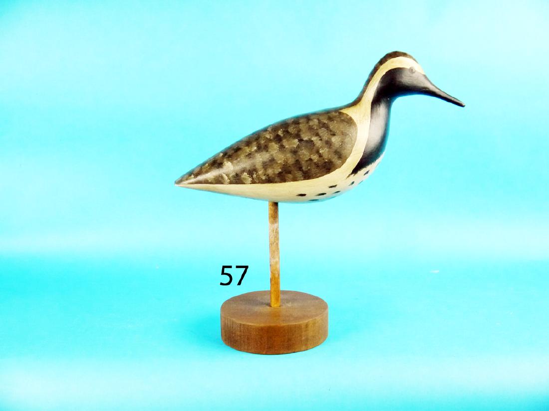 BLACK-BELLIED PLOVER by George Strunk, Glendora, NJ. (1 of 1)