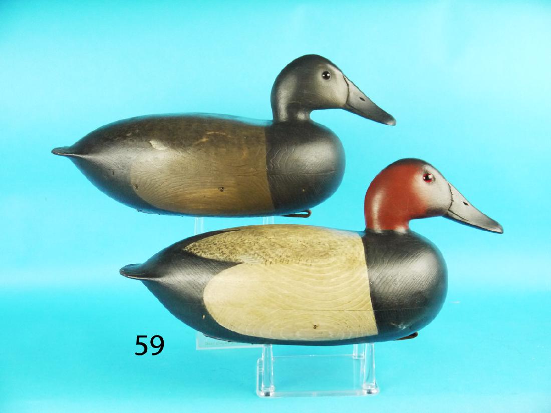 CANVASBACK DRAKE by Fredrick C. Brown, Jr., Pt. (1 of 1)