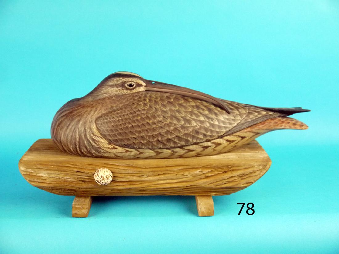 LONG-BILLED CURLEW by Dave Rhodes, Absecon, NJ. (1 of 1)