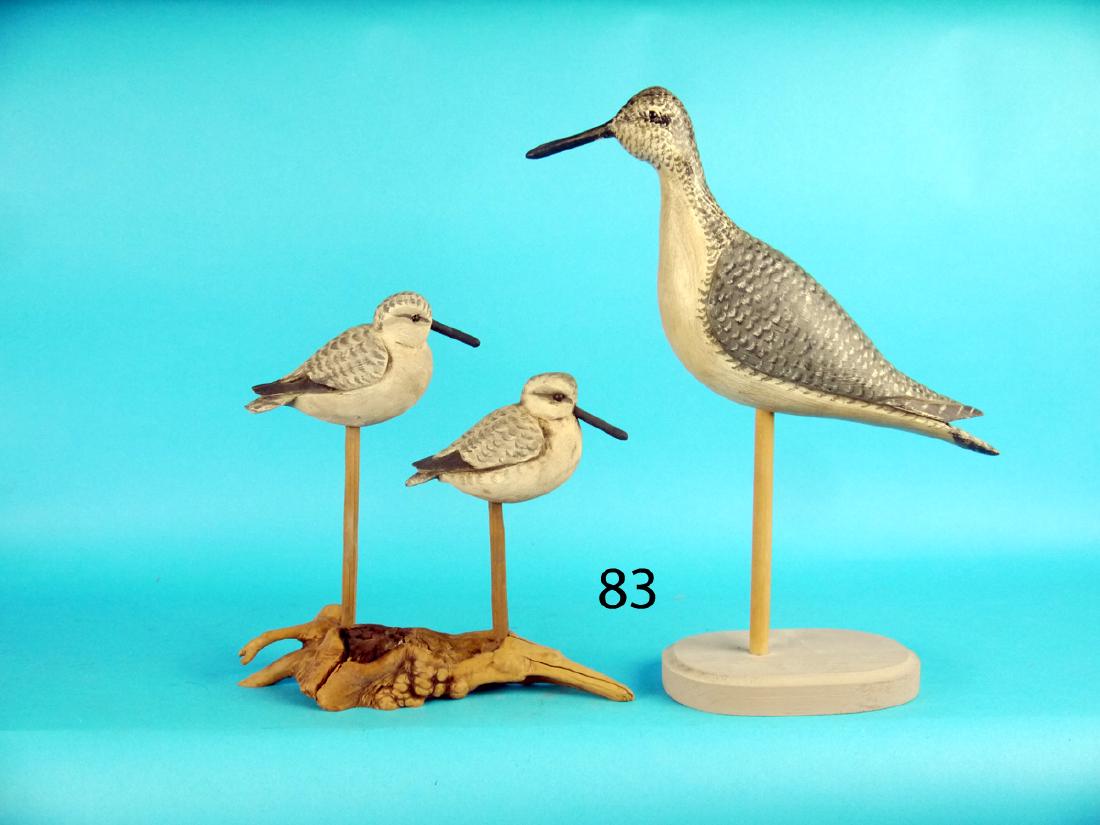 GREATER YELLOWLEG by Daniel Giberson, Port Republic, (1 of 1)