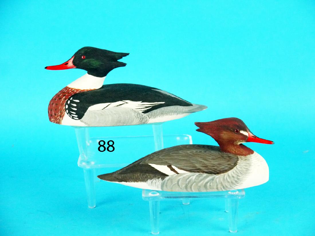 PAIR OF ONE-THIRD SIZE RED-BREAST MERGANSERS by Anthony (1 of 1)