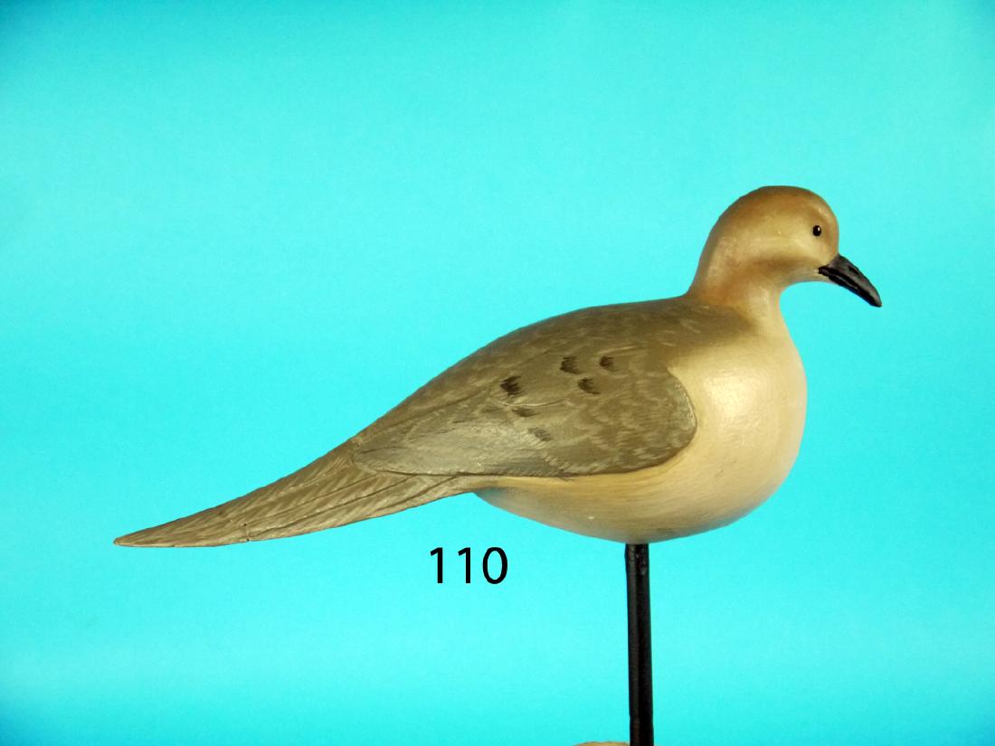 PLUMP DOVE by Ron Sabatini, Levittown, PA. Excellent (1 of 1)