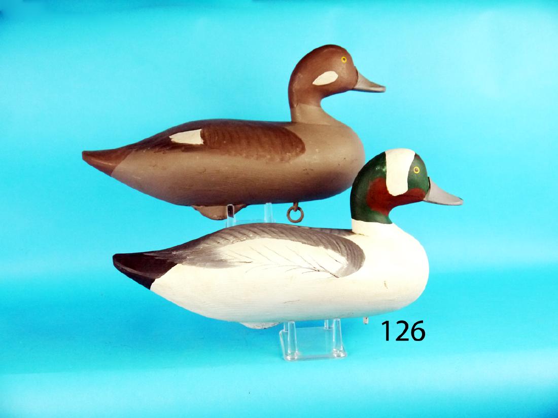 PAIR OF BUFFLEHEADS, Upper Bay, MD, possibly by R. (1 of 1)