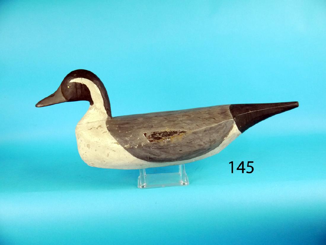 PINTAIL DRAKE, possibly Chincoteague, VA, or North (1 of 1)