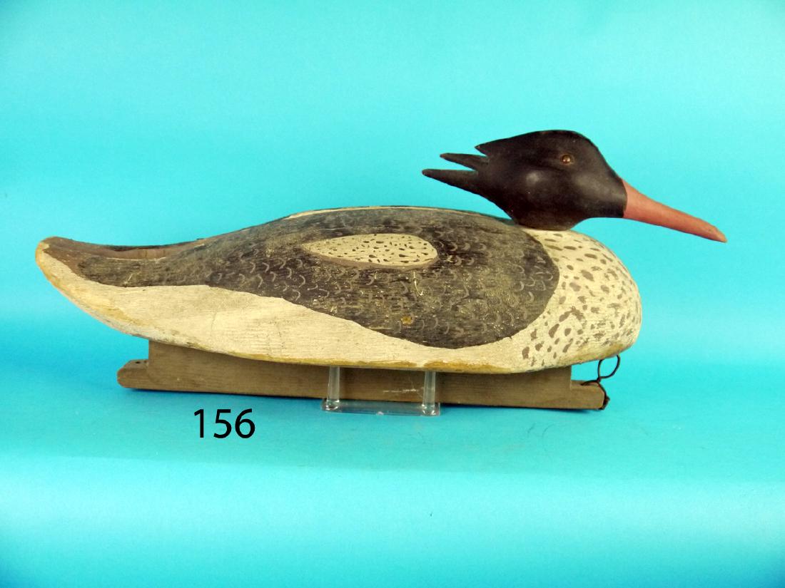 OVERSIZED MERGANSER DRAKE, possibly Virginia. Good (1 of 1)