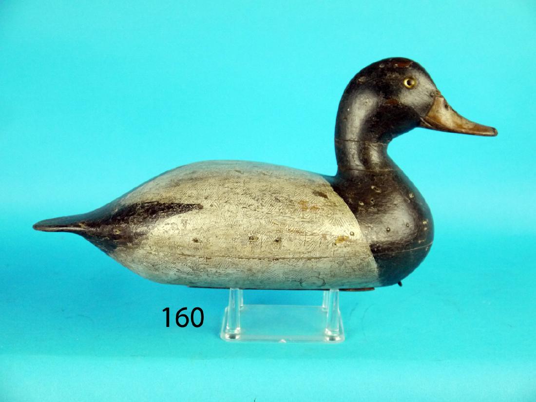 BLUE BILL DRAKE by Robert Elliston, Bureau, IL, (1 of 1)