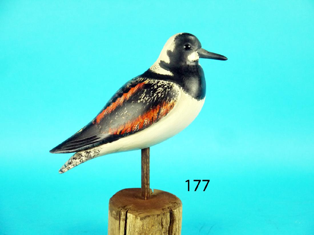 RUDDY TURNSTONE by Ken Kirby, Little Egg Harbor, NJ. (1 of 1)