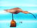 LONG-BILL CURLEW by Forrest "Bud" Jennings, Shamong,