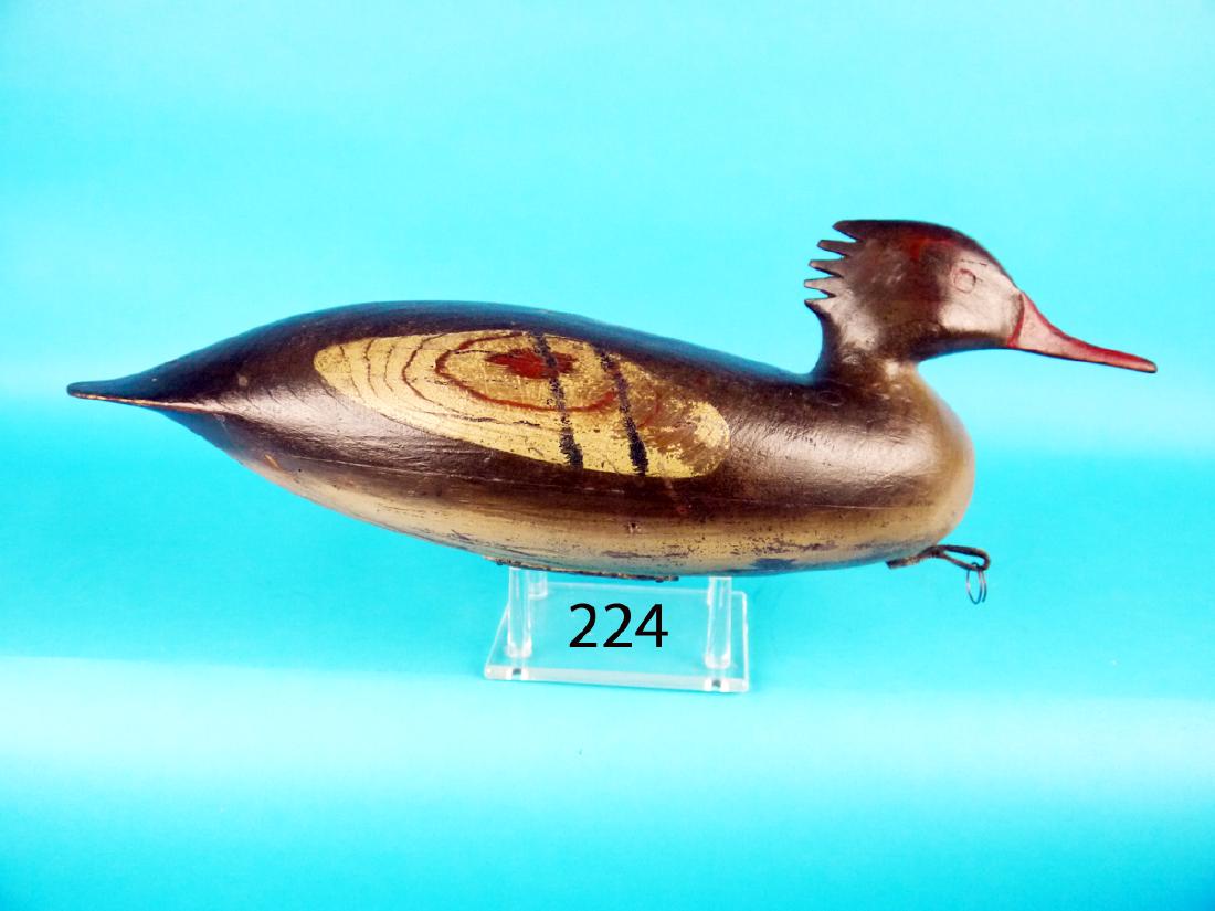 RED-BREAST MERGANSER HEN by Bill Hammel, Absecon, NJ, (1 of 1)