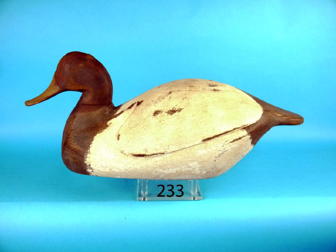 CANVASBACK DRAKE, possibly Crisfield, MD, area. (1 of 1)