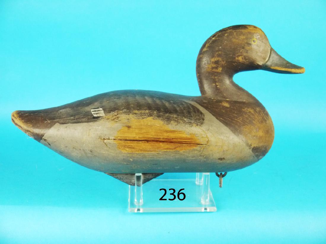 REDHEAD HEN, Upper Bay, MD. Weathered original paint (1 of 1)