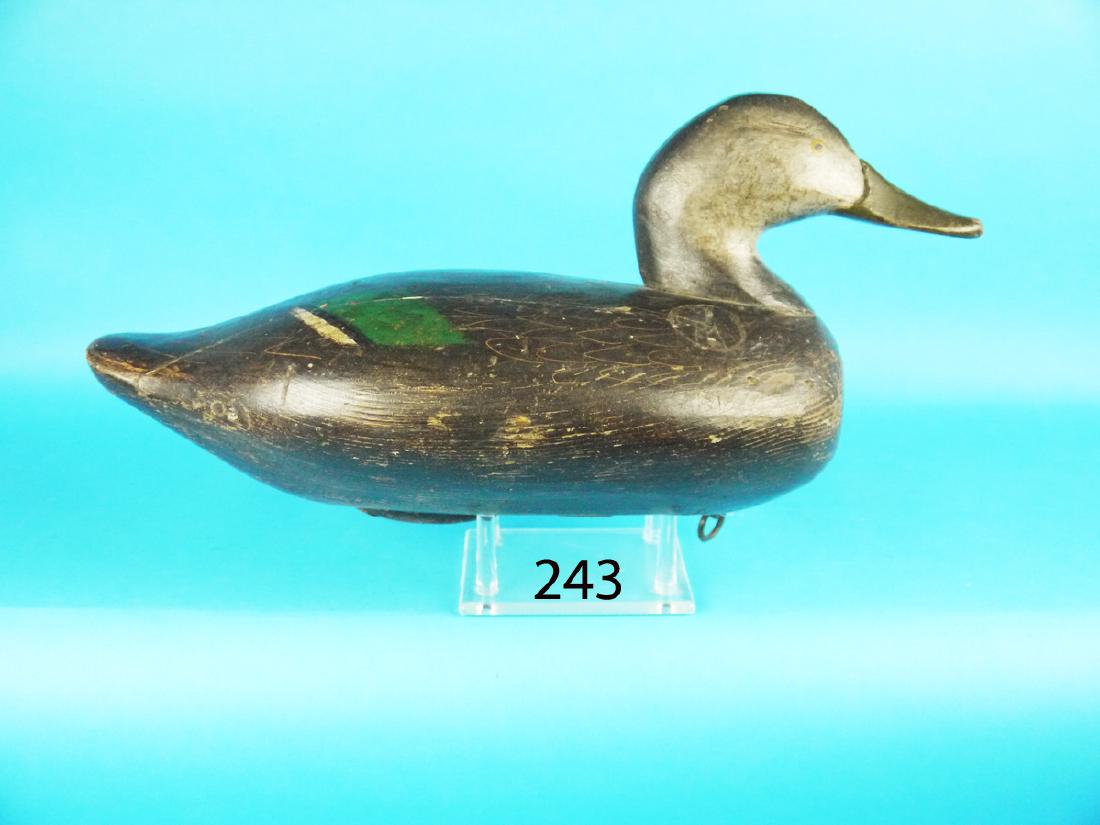 BLACK DUCK attributed to Jim Currier, Havre de Grace, (1 of 1)