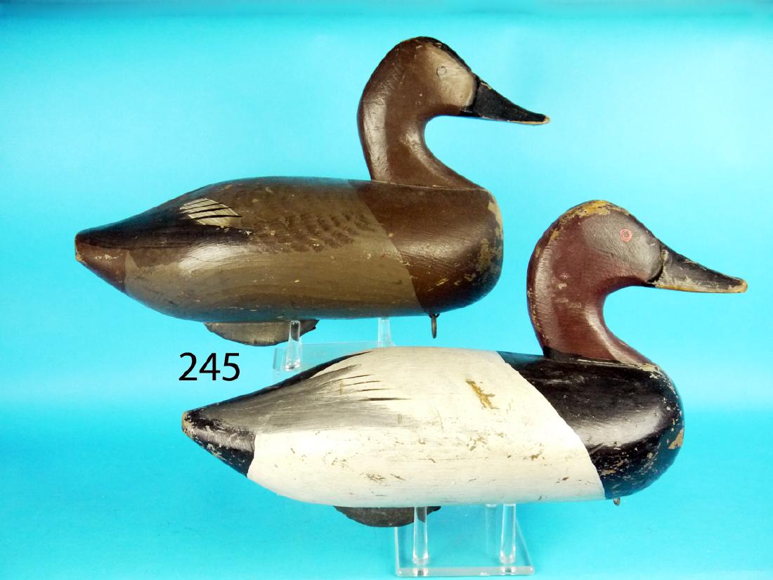 PAIR OF CANVASBACKS by Capt. Jess Urie, Rock Hall, MD. (1 of 1)