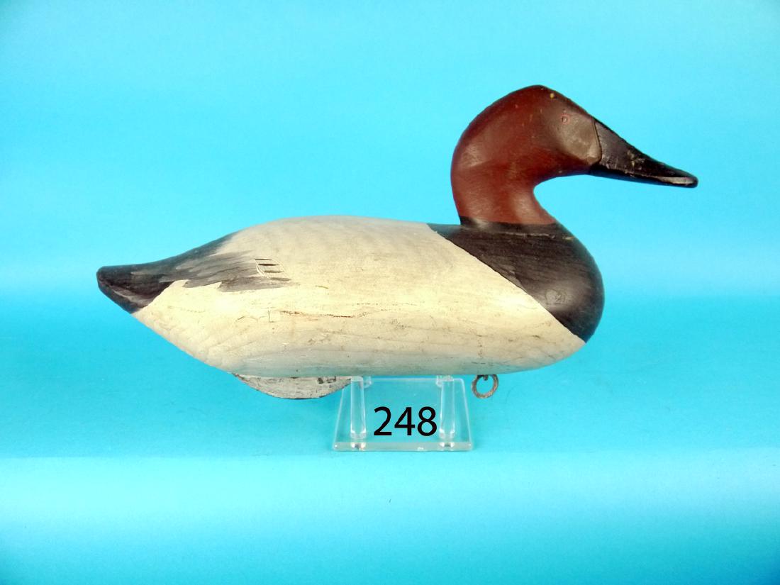 CANVASBACK DRAKE, Upper Bay, possibly R. Madison (1 of 1)