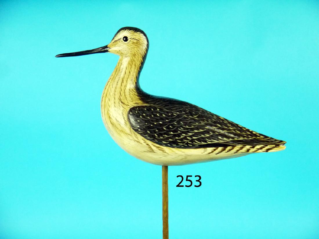 GREATER YELLOWLEG by Anthony Hillman, Cape May, NJ. (1 of 1)