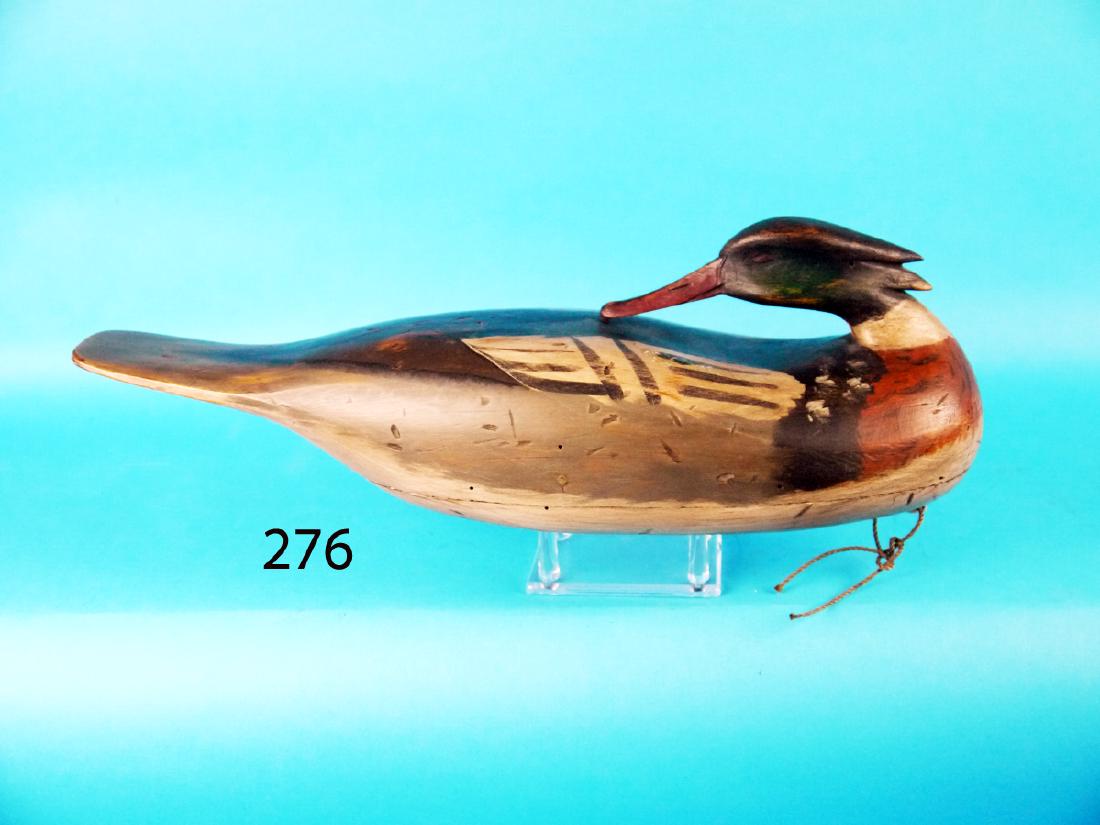 PREENING RED-BREAST MERGANSER DRAKE by Bob White, (1 of 1)