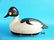 GOLDENEYE DRAKE by Ken Harris, Woodville, NY. Very good