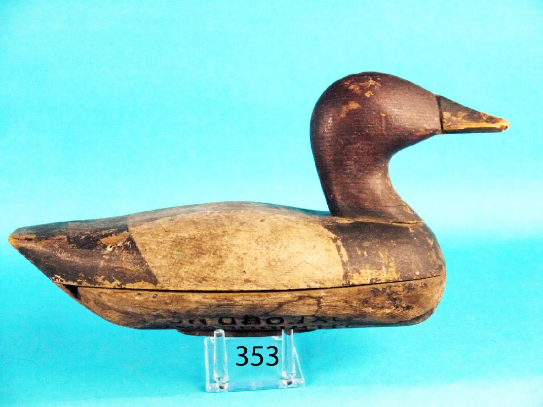 EXTREMELY RARE HIGH HEAD CANVASBACK OR RED HEAD DRAKE, (1 of 1)