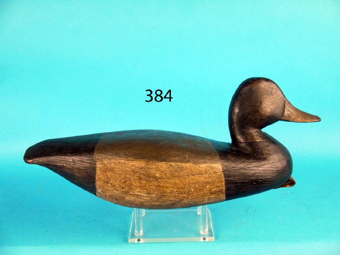 BLUEBILL DRAKE attributed to Cooper Predmore, Barnegat, (1 of 1)