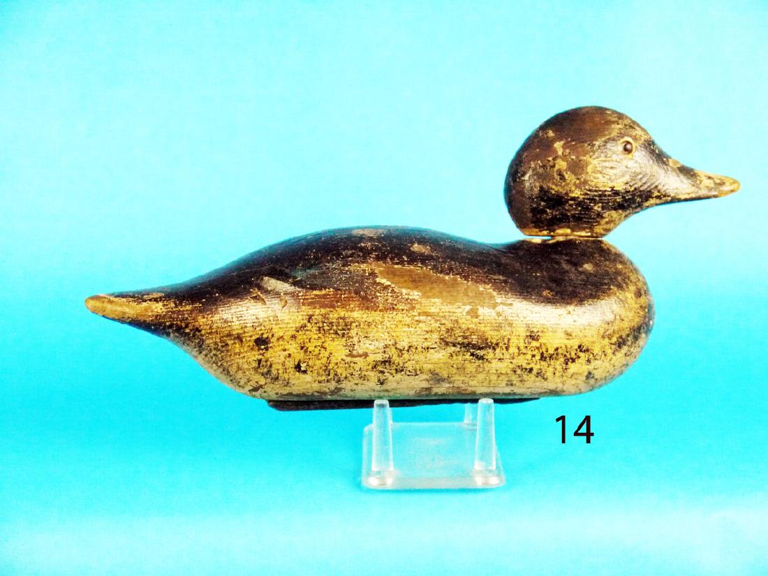 EARLY BLUE WING TEAL HEN, MASON (1 of 1)