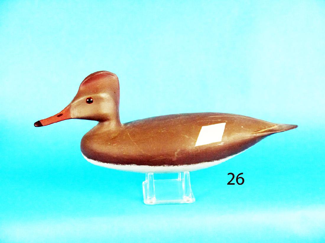 HOODED MERGANSER HEN by Hurley Conklin (1 of 1)