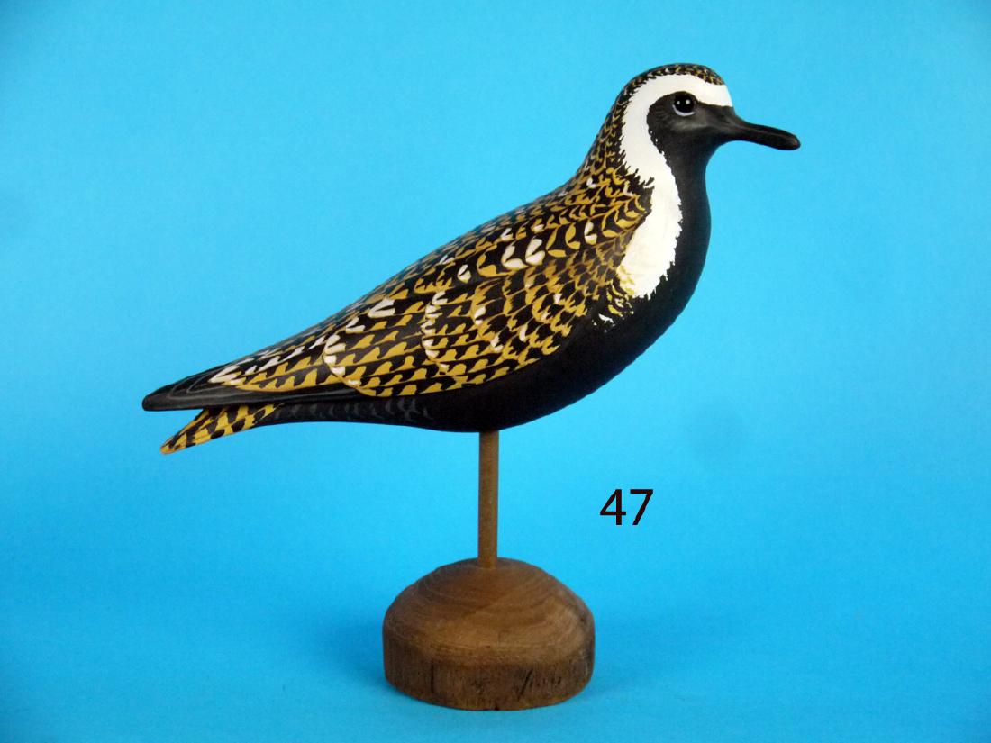 GOLDEN PLOVER by Manfred Scheel (1 of 1)