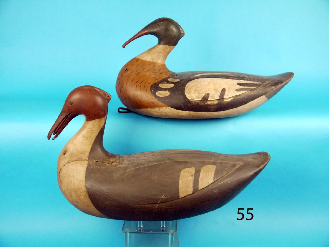 FINE PAIR OF RED-BREAST MERGANSERS by Steve Morey (1 of 1)