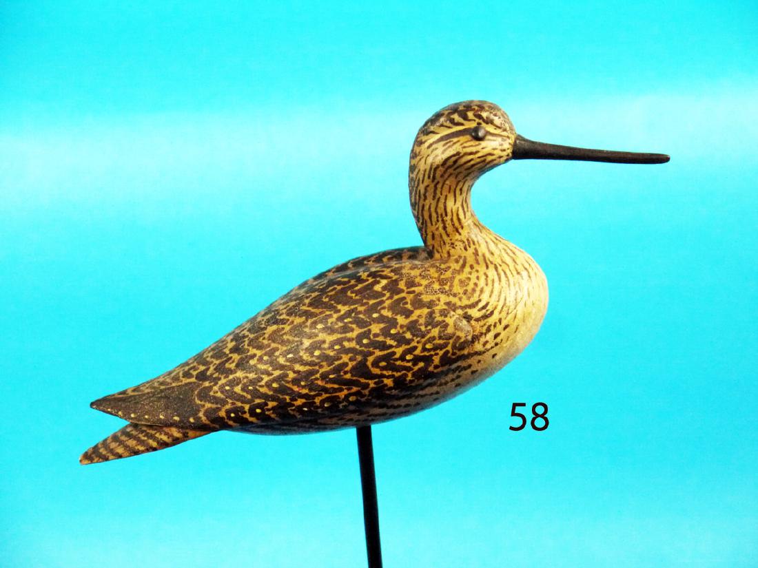 VERY FINE YELLOWLEG by Lou Renieri (1 of 1)