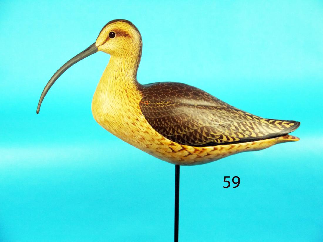 LONG-BILLED CURLEW by Dave Rhodes (1 of 1)