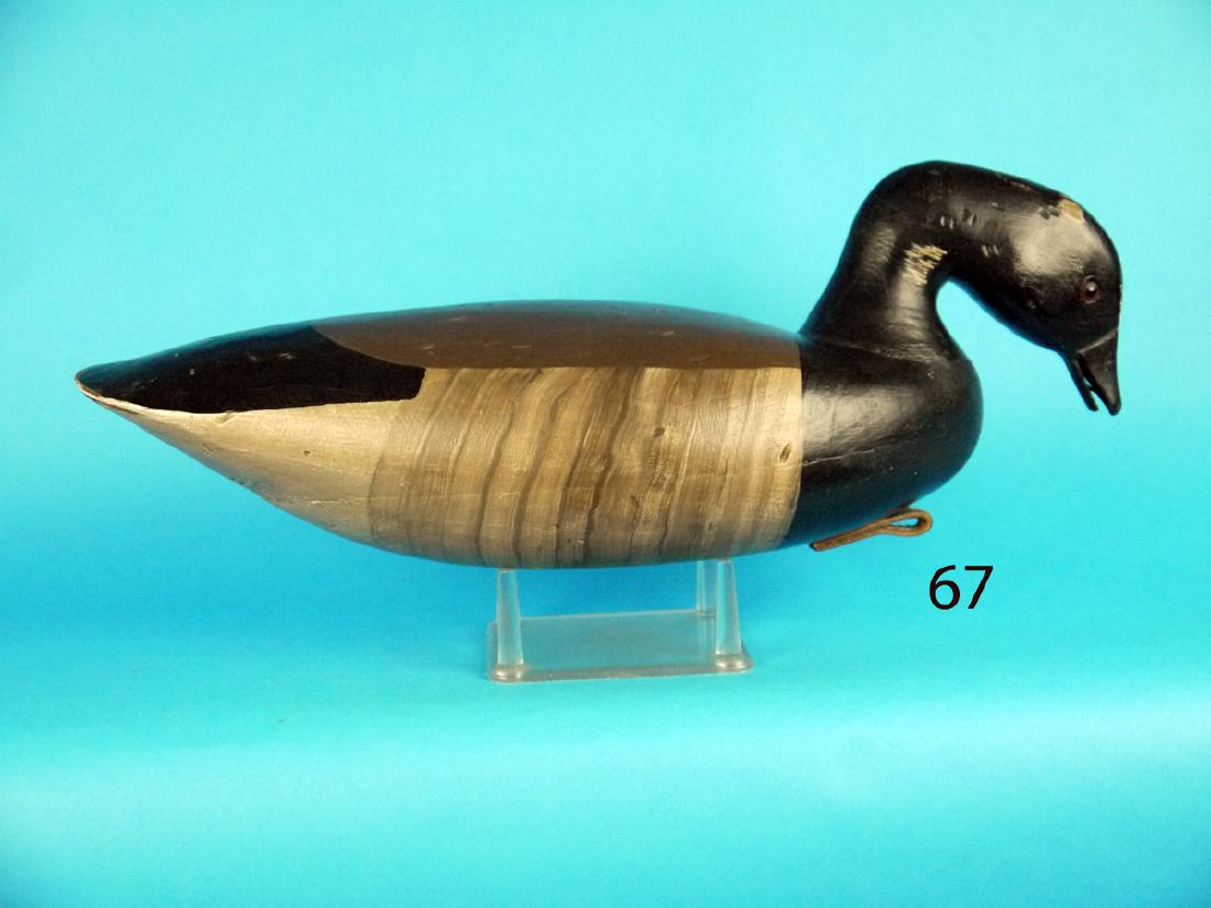 BRANT by John Hamilton (1 of 1)