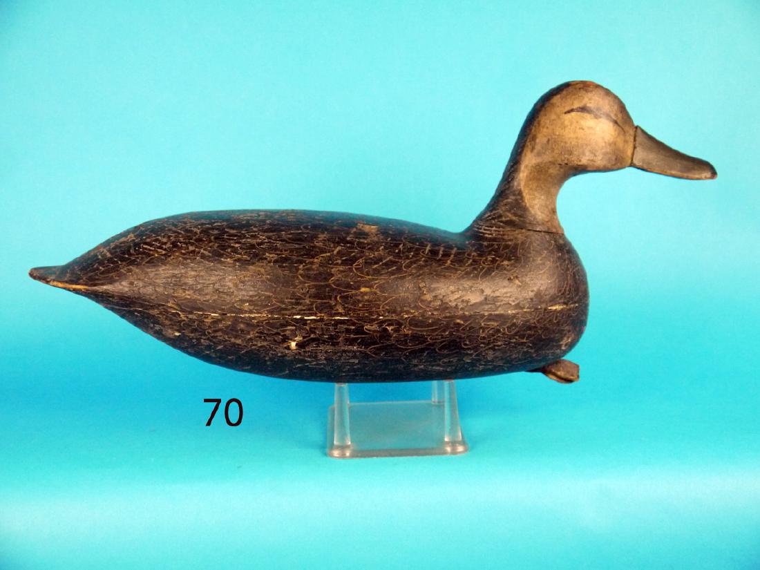 EARLY BLACK DUCK, New Jersey (1 of 1)